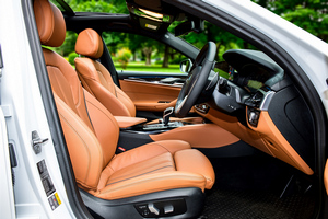 租车 BMW 530e M Sport(19-23) - 照片 11